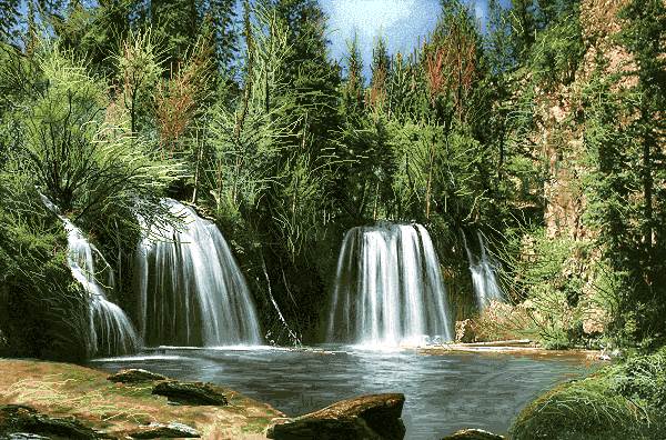 طبیعت آبشار جنگل
