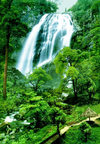 آبشار طبیعت سرسبز