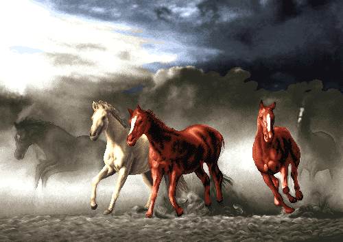 طوفان و اسبها