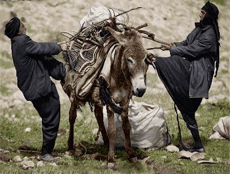 پیرمرد و پیرزن روستایی