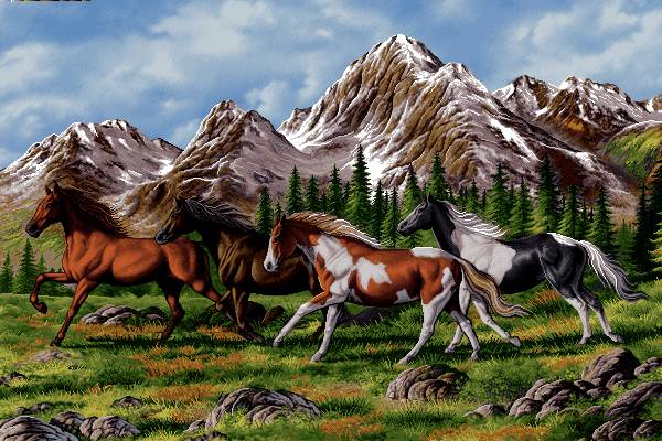 دویدن اسب ها در کوهستان