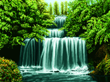 آبشار جنگل سبز